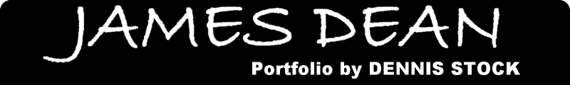 james dean portfolio by dennis stock